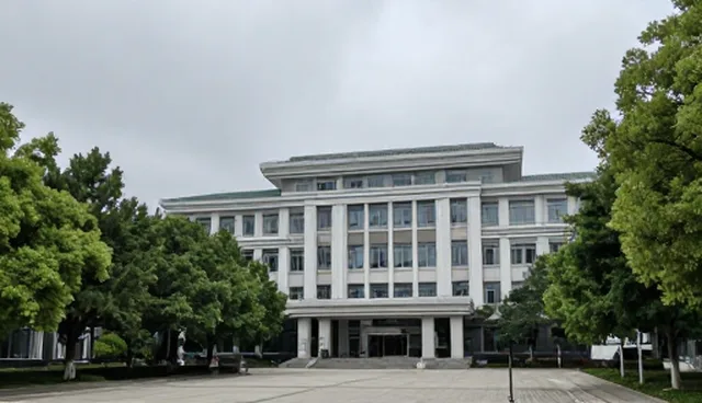技术实施中的常见问题与维护建议